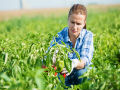 EU4Business projekt: Poljoprivrednim gazdinstvima 1,6 miliona KM