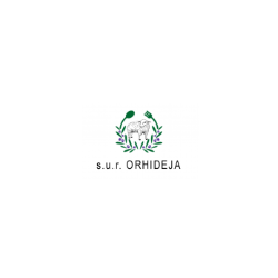 s.u.r. Orhideja