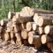 Radnicima Srednjobosanskih šuma od 250 do 500 KM na decembarsku platu