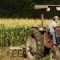 Britanski farmeri traže sezonce iz BiH